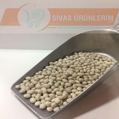 Sivas Suşehri Şeker Kurufasulye