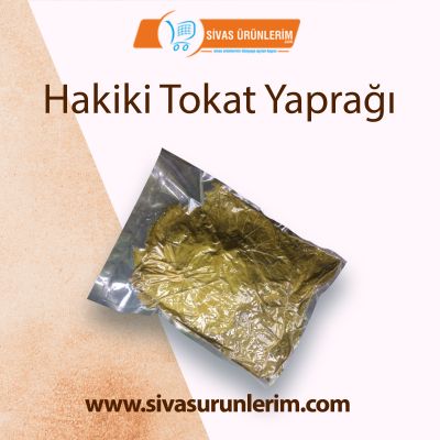Hakiki Tokat Yaprağı