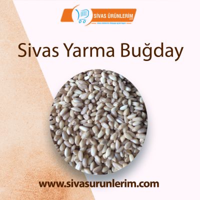 Sivas Yarma Buğday