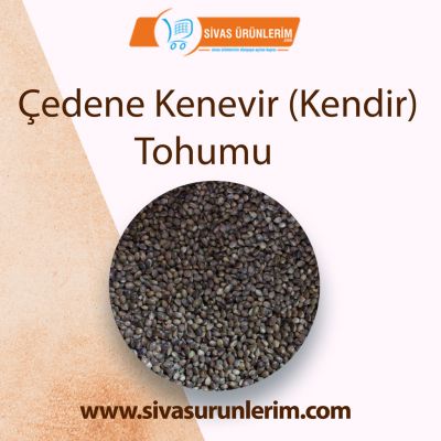 Çedene Kenevir (Kendir) Tohumu